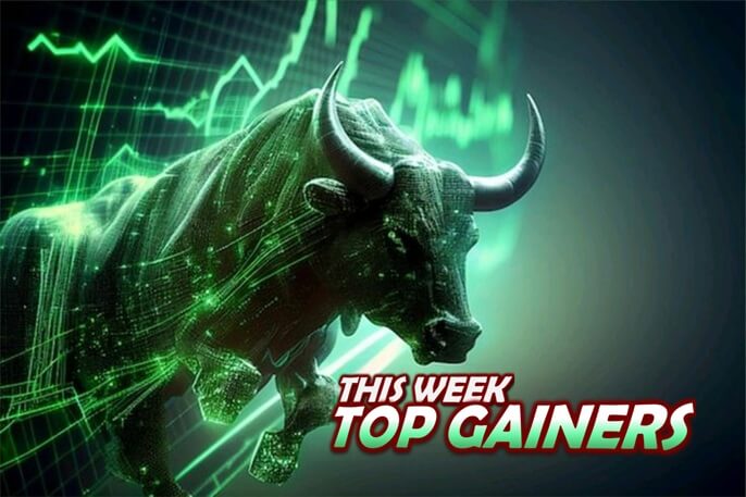 Top Stock Gainers Picture