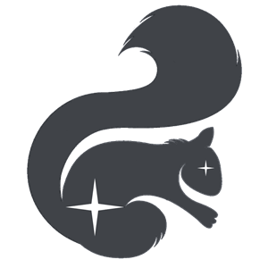 StocksRunner logo